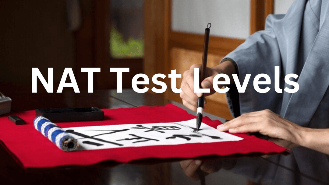 NAT Test Levels: Complete Information